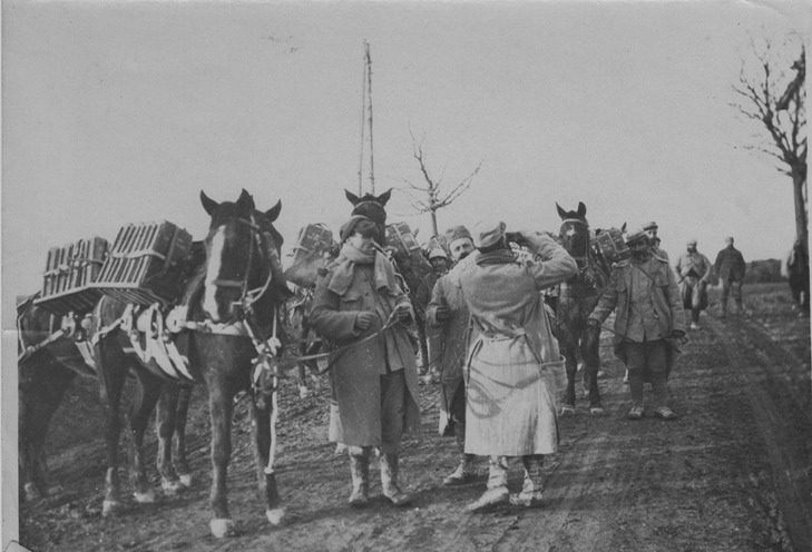 French supply line, with horses